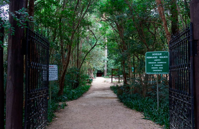 Bosque Reinhad Maack